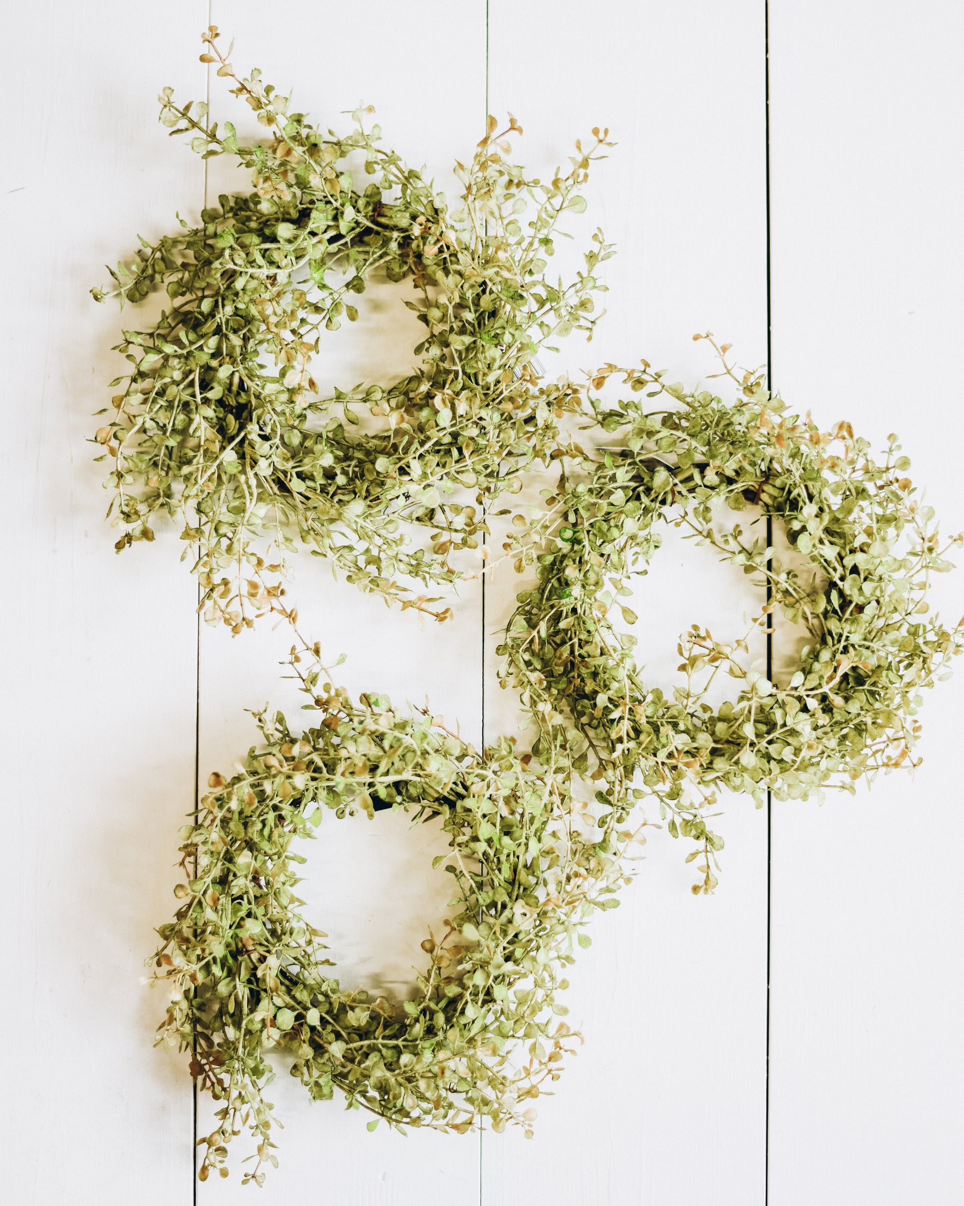 Baby Grass Wreath Accent - Homeworks Etc ®