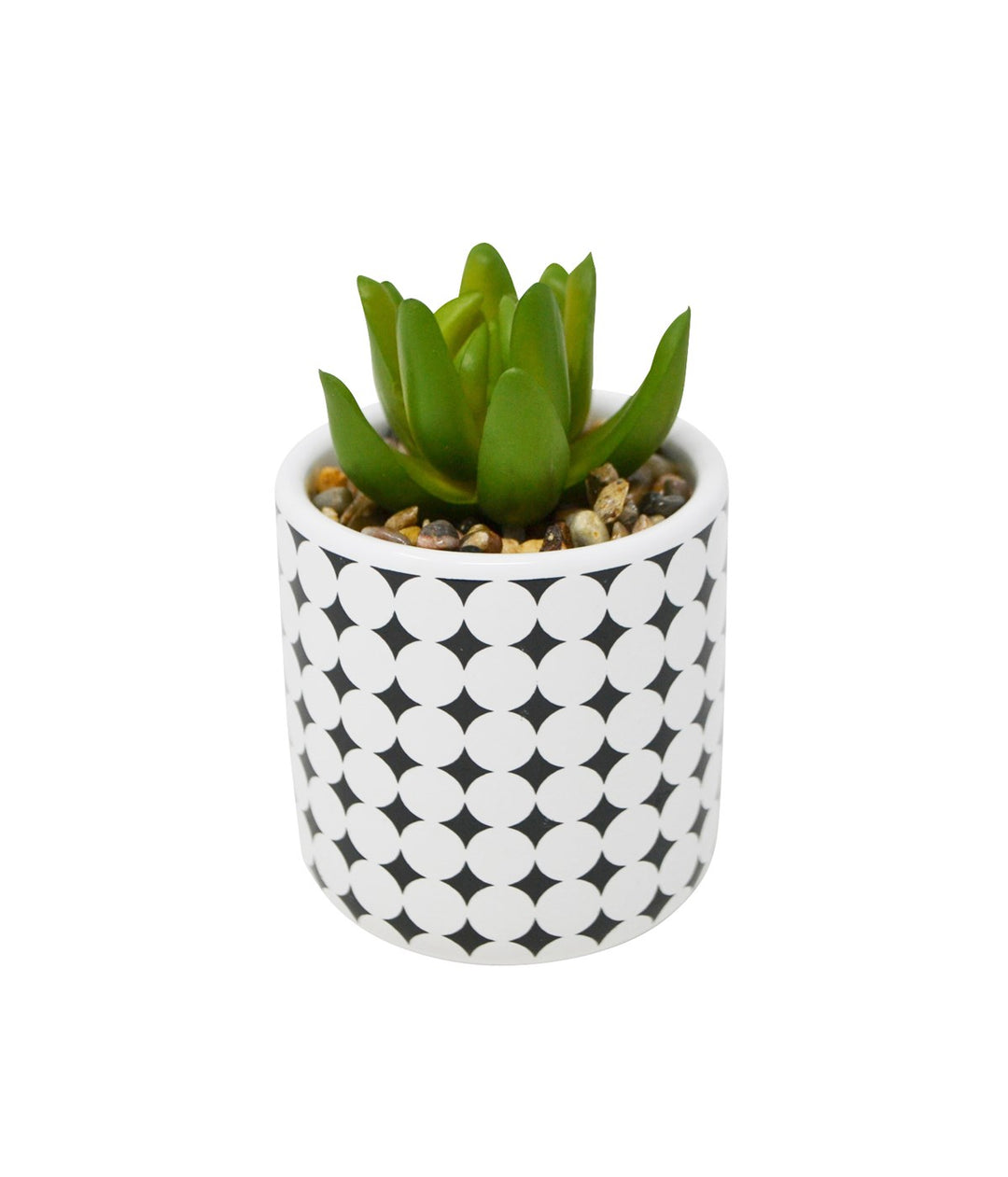 Faux Succulent Plant w/ Diamond Design Pot - Homeworks Etc ®