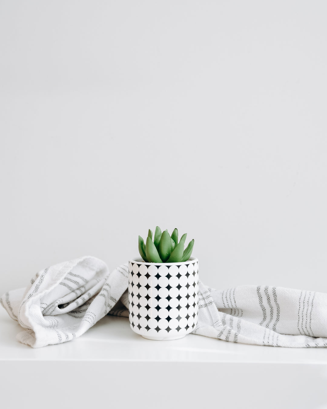 Faux Succulent Plant w/ Diamond Design Pot - Homeworks Etc ®