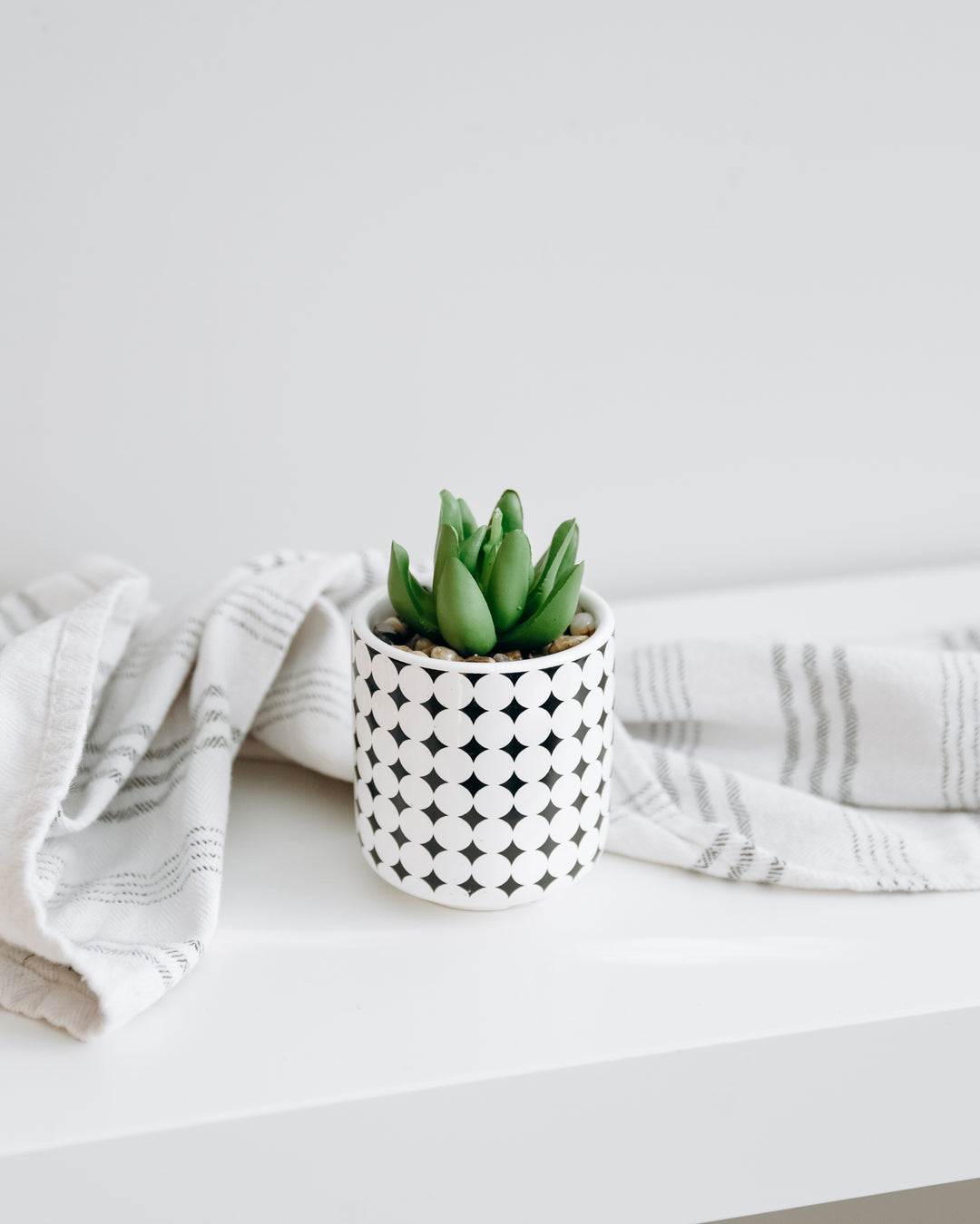 Faux Succulent Plant w/ Diamond Design Pot - Homeworks Etc ®
