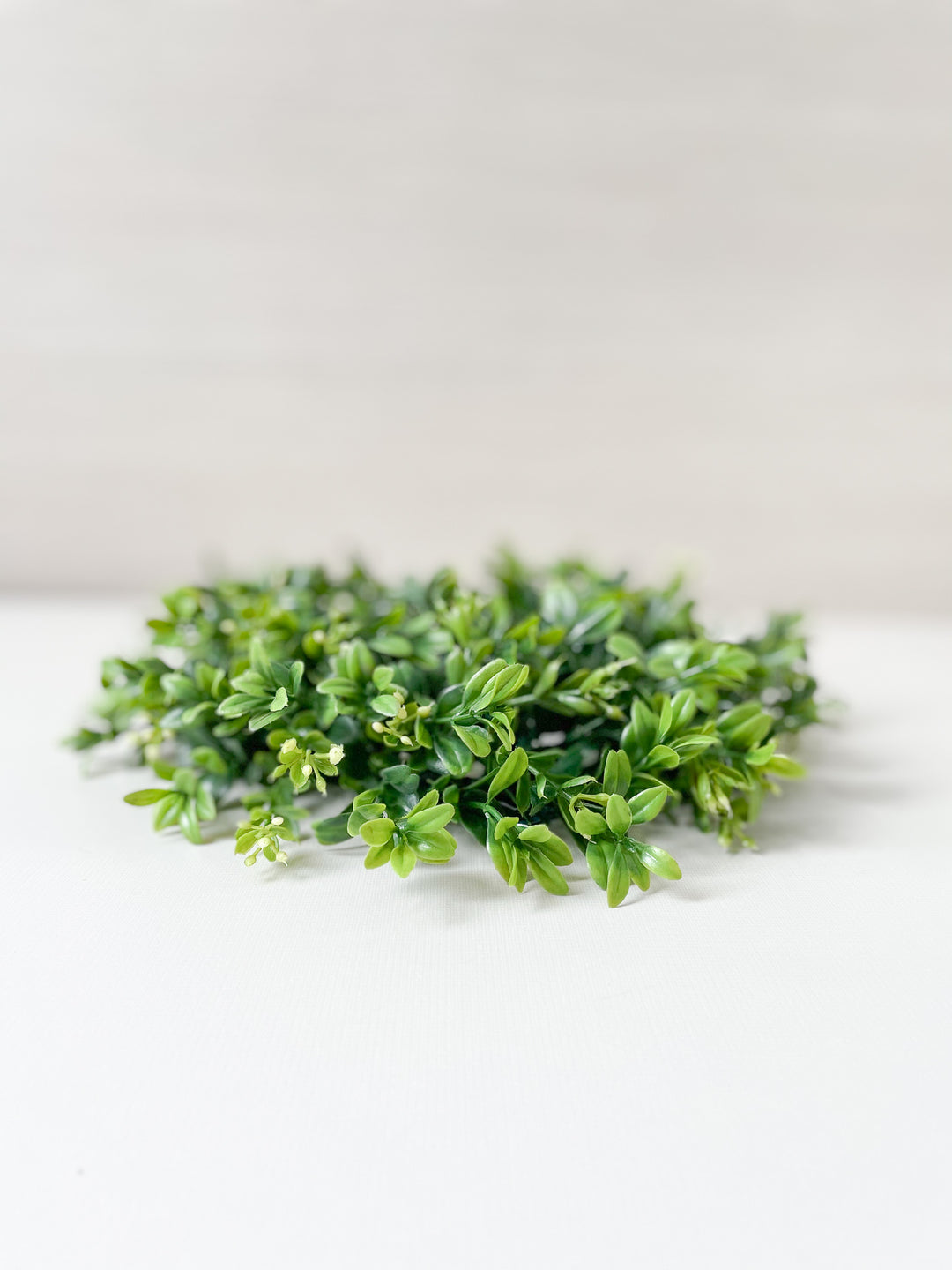 Boxwood Wreath Accent (4.5 inches) - Homeworks Etc ®