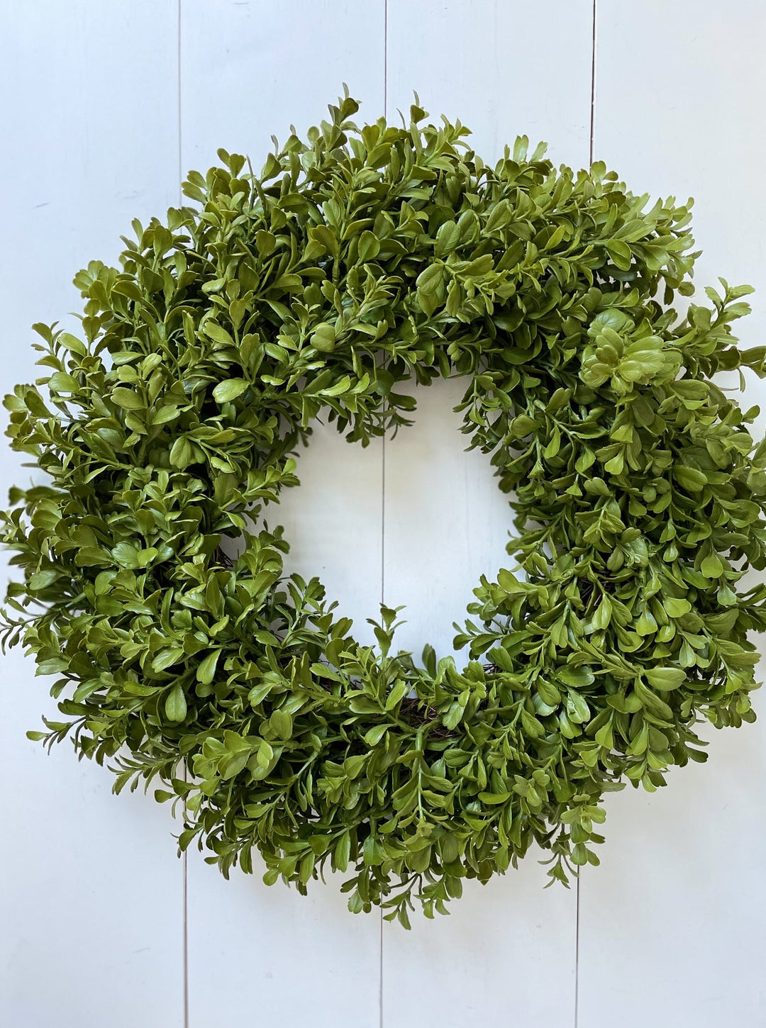 Boxwood Wreath (19") - Homeworks Etc ®